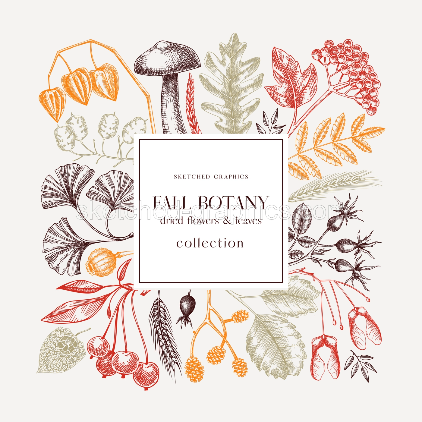 Autumn wreath with fall leaves and dried flowers. Thanksgiving banner design. Fall card or invitation. Sketched dried herbs, falling leaves, mushrooms, seeds frame. Colorful botanical  illustration Illustration